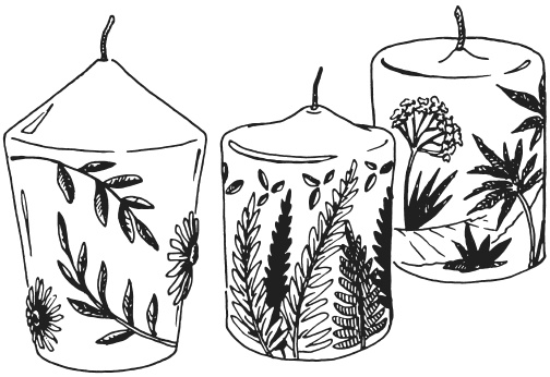 Иллюстрация к книге — Поделки из засушенных цветов и листьев [i_050.jpg]