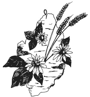 Иллюстрация к книге — Поделки из засушенных цветов и листьев [i_053.jpg]