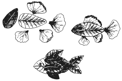 Иллюстрация к книге — Поделки из засушенных цветов и листьев [i_057.jpg]