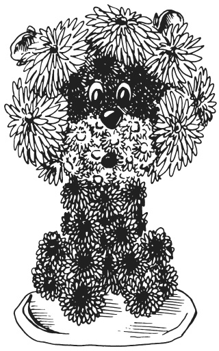 Иллюстрация к книге — Поделки из засушенных цветов и листьев [i_062.jpg]