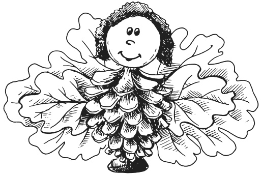 Иллюстрация к книге — Поделки из засушенных цветов и листьев [i_063.jpg]