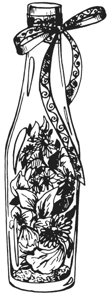 Иллюстрация к книге — Поделки из засушенных цветов и листьев [i_067.jpg]