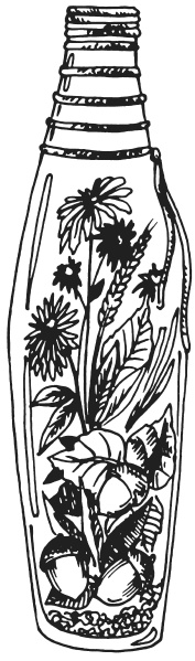 Иллюстрация к книге — Поделки из засушенных цветов и листьев [i_069.jpg]