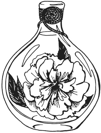 Иллюстрация к книге — Поделки из засушенных цветов и листьев [i_070.jpg]