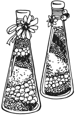 Иллюстрация к книге — Поделки из засушенных цветов и листьев [i_071.jpg]