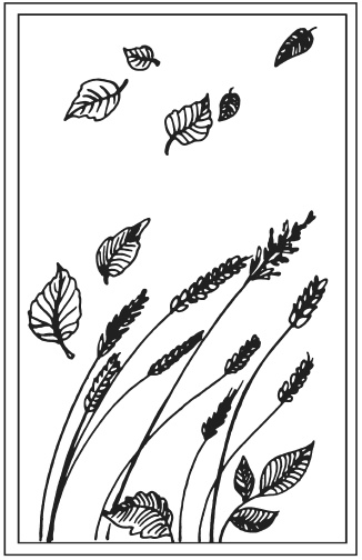 Иллюстрация к книге — Поделки из засушенных цветов и листьев [i_075.jpg]