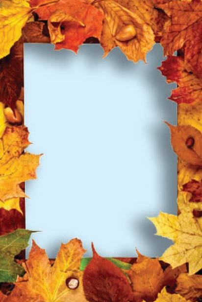 Иллюстрация к книге — Поделки из засушенных цветов и листьев [i_076.jpg]