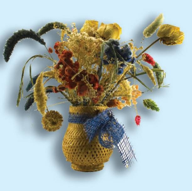 Иллюстрация к книге — Поделки из засушенных цветов и листьев [i_081.jpg]