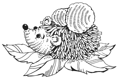 Иллюстрация к книге — Игрушки амигуруми [i_007.jpg]