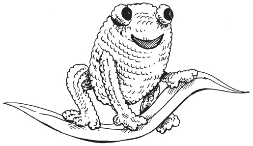 Иллюстрация к книге — Игрушки амигуруми [i_011.jpg]