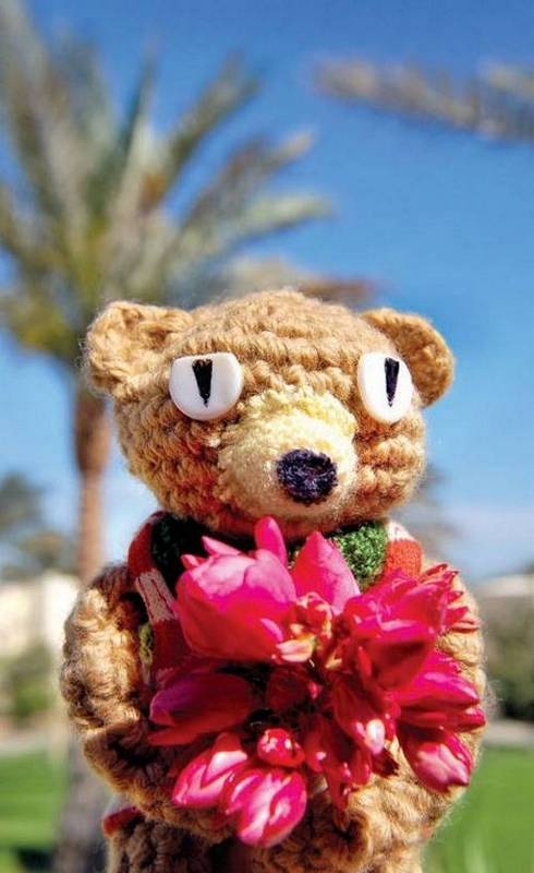 Иллюстрация к книге — Игрушки амигуруми [i_069.jpg]