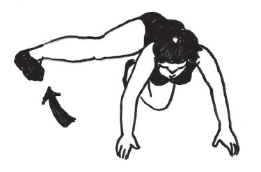 Иллюстрация к книге — Все для превращения тушки в фигурку [i_075.jpg]