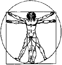 Иллюстрация к книге — Лучшие модели на любую фигуру без примерок и подгонок [i_007.jpg]