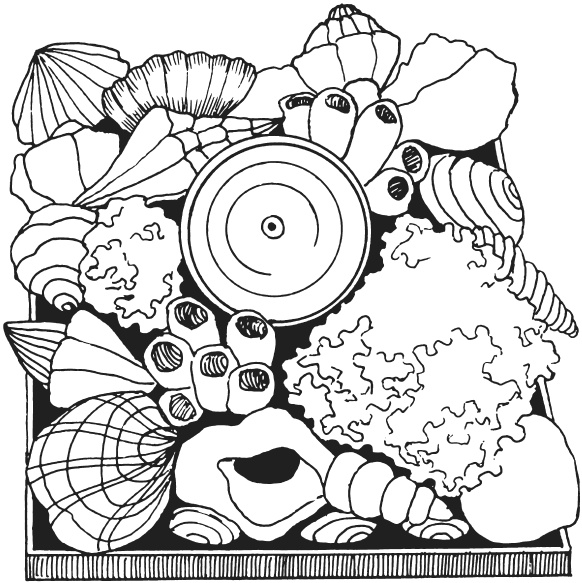 Иллюстрация к книге — Поделки из морских камешков и ракушек [_20130820_151206.jpg]