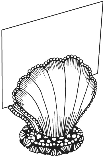 Иллюстрация к книге — Поделки из морских камешков и ракушек [_20130820_151248.jpg]