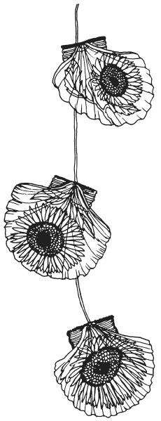 Иллюстрация к книге — Поделки из морских камешков и ракушек [_20130820_151349.jpg]