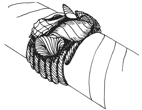 Иллюстрация к книге — Поделки из морских камешков и ракушек [_20130820_151824.jpg]