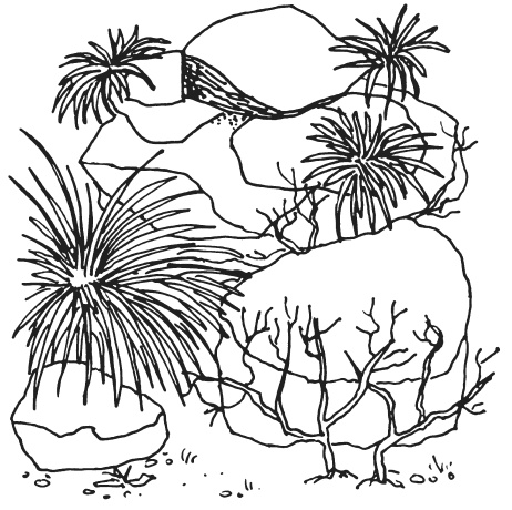 Иллюстрация к книге — Поделки из морских камешков и ракушек [_20130820_152957.jpg]