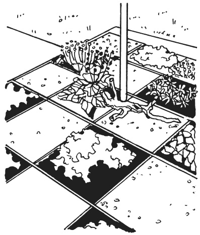 Иллюстрация к книге — Поделки из морских камешков и ракушек [_20130820_153027.jpg]
