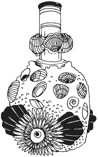 Иллюстрация к книге — Поделки из морских камешков и ракушек [_20130820_153207.jpg]