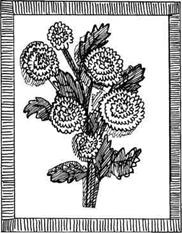 Иллюстрация к книге — Соленое тесто. Поделки, игрушки, сувениры, панно, фоторамки [i_008.jpg]