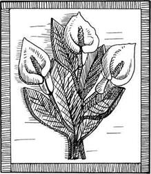 Иллюстрация к книге — Соленое тесто. Поделки, игрушки, сувениры, панно, фоторамки [i_009.jpg]