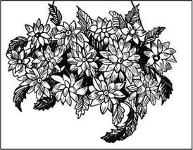 Иллюстрация к книге — Соленое тесто. Поделки, игрушки, сувениры, панно, фоторамки [i_010.jpg]