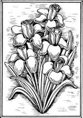 Иллюстрация к книге — Соленое тесто. Поделки, игрушки, сувениры, панно, фоторамки [i_011.jpg]