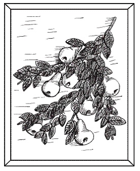 Иллюстрация к книге — Соленое тесто. Поделки, игрушки, сувениры, панно, фоторамки [i_017.jpg]