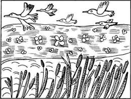 Иллюстрация к книге — Соленое тесто. Поделки, игрушки, сувениры, панно, фоторамки [i_025.jpg]