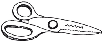 Иллюстрация к книге — Поделки из бумаги, игрушки, сувениры и подарки [i_004.jpg]