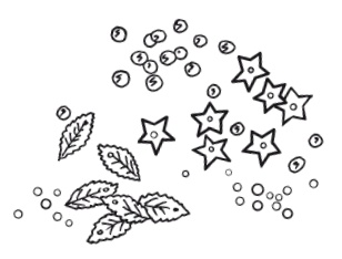 Иллюстрация к книге — Поделки из бумаги, игрушки, сувениры и подарки [i_013.jpg]