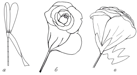 Иллюстрация к книге — Поделки из бумаги, игрушки, сувениры и подарки [i_063.jpg]