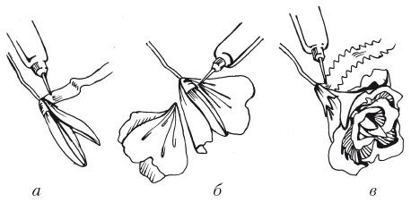 Иллюстрация к книге — Поделки из бумаги, игрушки, сувениры и подарки [i_072.jpg]