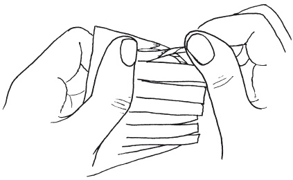 Иллюстрация к книге — Поделки из бумаги, игрушки, сувениры и подарки [i_079.jpg]