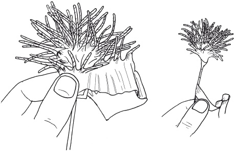 Иллюстрация к книге — Поделки из бумаги, игрушки, сувениры и подарки [i_080.jpg]