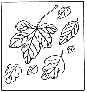 Иллюстрация к книге — Поделки из бумаги, игрушки, сувениры и подарки [i_098.jpg]