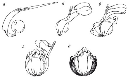 Иллюстрация к книге — Вышивка шелковыми лентами [i_025.jpg]