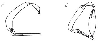 Иллюстрация к книге — Вышивка шелковыми лентами [i_028.jpg]