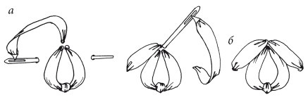 Иллюстрация к книге — Вышивка шелковыми лентами [i_030.jpg]