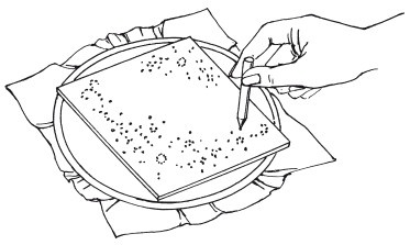 Иллюстрация к книге — Вышивка шелковыми лентами [i_046.jpg]