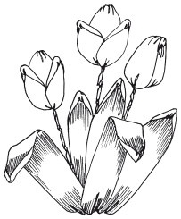 Иллюстрация к книге — Вышивка шелковыми лентами [i_058.jpg]