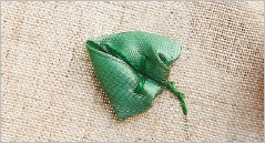 Иллюстрация к книге — Вышивка ленточками: мастер-класс для начинающих мастериц [i_113.jpg]