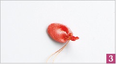 Иллюстрация к книге — Вышивка ленточками: мастер-класс для начинающих мастериц [i_166.jpg]