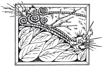 Иллюстрация к книге — Стильная одежда для ваших стен. Отделка и декор вашего дома [i_015.jpg]