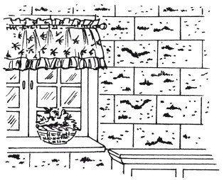 Иллюстрация к книге — Стильная одежда для ваших стен. Отделка и декор вашего дома [i_118.jpg]