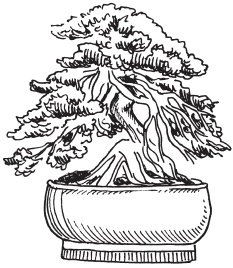 Иллюстрация к книге — Интересные идеи для вашего дома. Украшение интерьера своими руками [i_032.jpg]