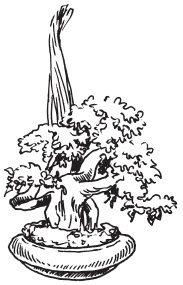 Иллюстрация к книге — Интересные идеи для вашего дома. Украшение интерьера своими руками [i_034.jpg]