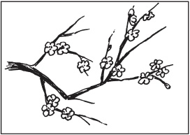 Иллюстрация к книге — Интересные идеи для вашего дома. Украшение интерьера своими руками [i_067.jpg]