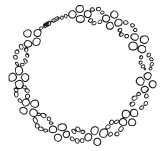 Иллюстрация к книге — Бисер. Украшения на любой вкус [i_108.jpg]